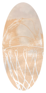 On Gods Court Bronze